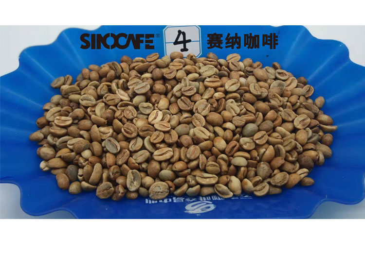 中国阿拉比卡咖啡红蜜精品